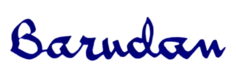 Barudan logo